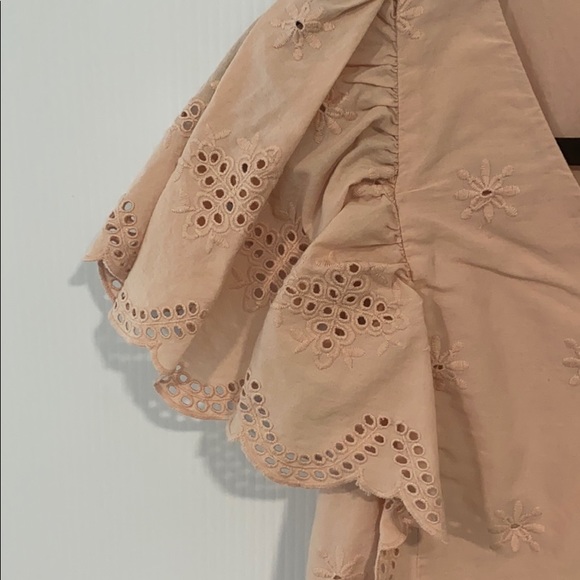 Loft Embroidered Eyelet Mini Dress in dusty pink - Picture 5 of 10